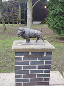 Landing gilwell park american buffalo
