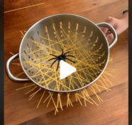 Landing spider