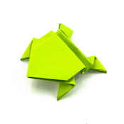 Landing jumping frog 2