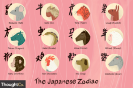 Landing zodiac