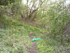 Landing unnature trail